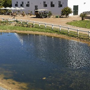 Out & About on Groote Post farm