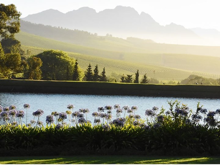 The Cellar Door at Jordan wine .za