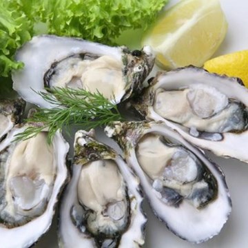 Gauteng Oyster Wine and Food Festival