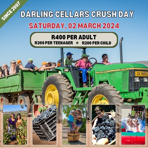 Darling Cellars Crush Day