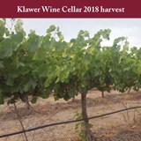 Klawer Wine Cellar 2018 Harvest