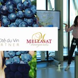 Mellasat Vineyards’ White Pinotage 2015 is one of three favourites in France!