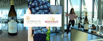 Mellasat Vineyards’ White Pinotage 2015 is one of three favourites in France!