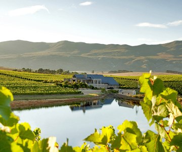 Graham Howe - Interview with wine.co.za - Cape South Coast wine region