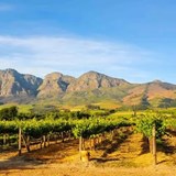 Coastal Regions Amazing Wines In South Africa