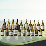Top 20 finalists for 2020 Sauvignon Blanc SA Top 10