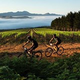 The best Wine Farms for Mountain Biking in the Cape