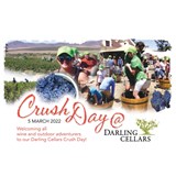 Darling Cellars Crush Day - 5 March 2022