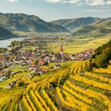 9 Lesser-known wine regions you should visit around the world