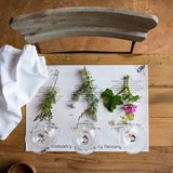 A guide to uniquely South African fynbos and wine pairings