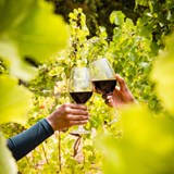 #HappyBirthdaySAWine: Harvest festivals and parties in celebration of South African wine