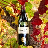 Harvest news from Raka Wines