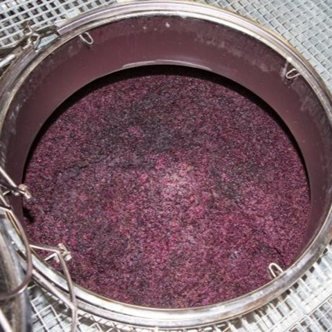 Even fermentation is now being hampered by climate change | wine.co.za
