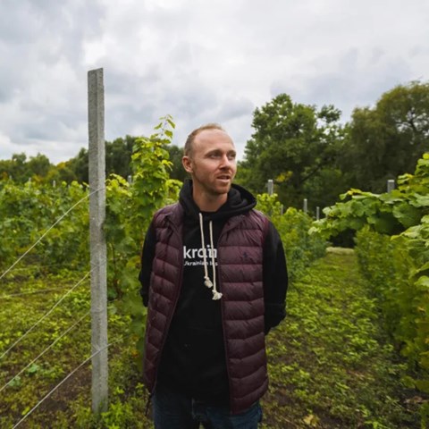 How Ukrainian winemakers are preserving tradition in the face of war