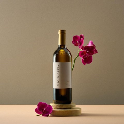 Steenberg Magna Carta crowned White Cape Bordeaux Blend of the Year in Platter's Wine Guide 2026