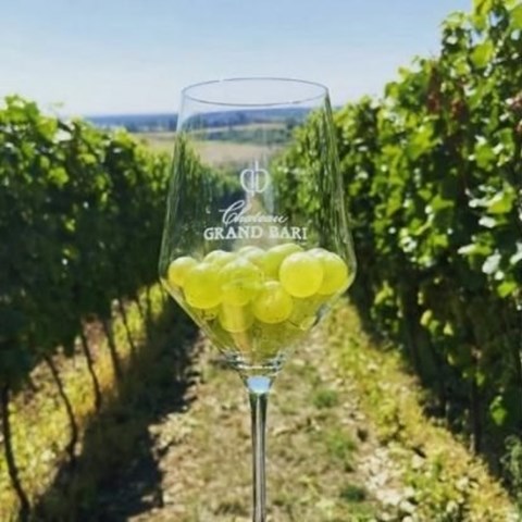 Why might Slovakia be the next big thing in wine?