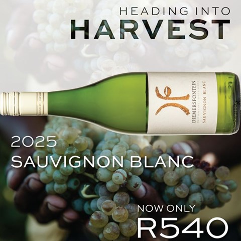 Heading into harvest this January at Diemersfontein Wines