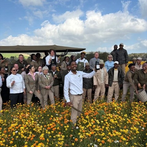 Start the year in style at Vergelegen: wine, walks and wonders