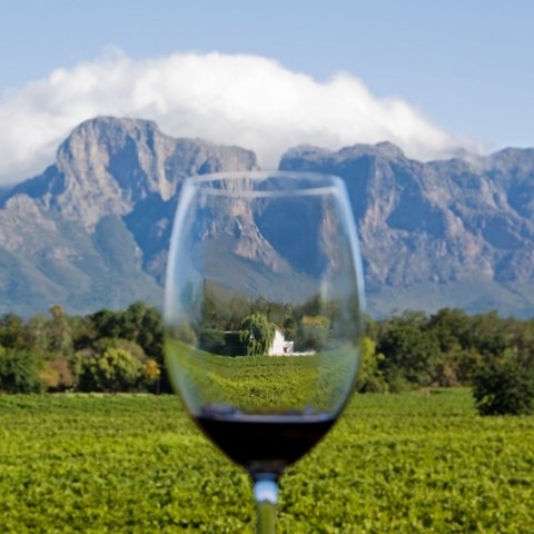 South African wine exports demonstrate resilience amid global market pressures