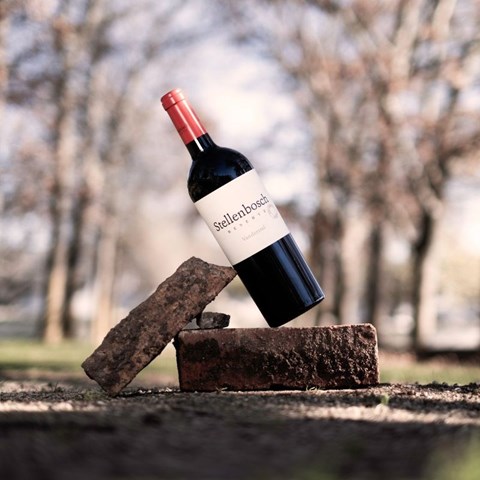 Stellenbosch Reserve: A living tribute to South Africa’s most iconic wine region
