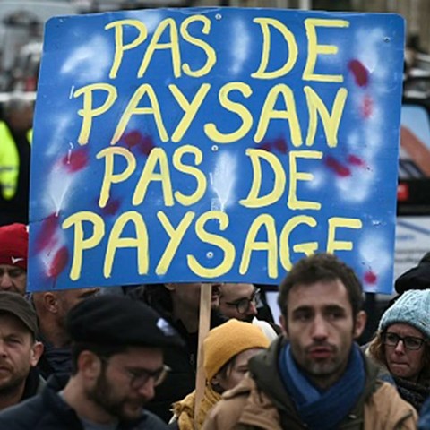 Bordeaux's winegrowers face an impossible choice