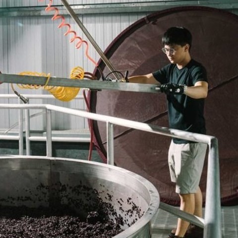 So, you want to land a wine harvest job?