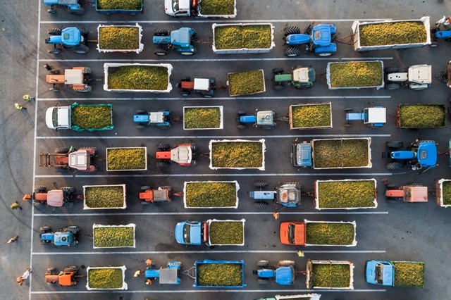 Italy registers a small harvest