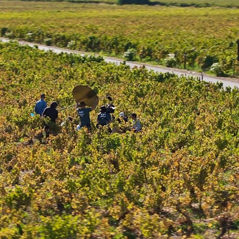 New documentary highlights the people and land behind Chile's wine culture