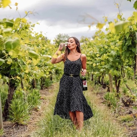 The wine industry once mocked influencers. Now it may need them