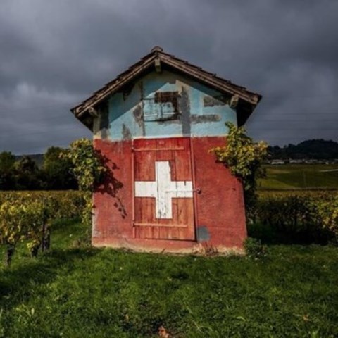 Switzerland's winemaking president pushes to restrict imports