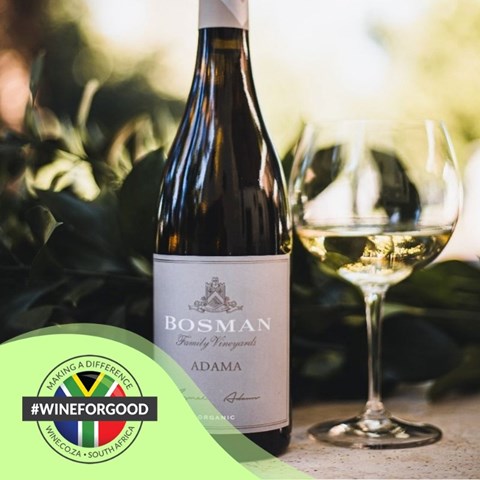 #WINEFORGOOD: 10 inspiring South African wines doing good