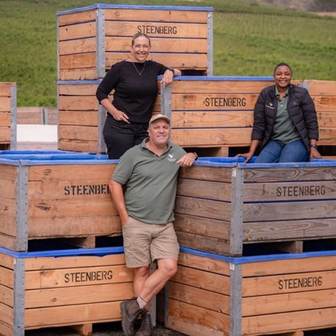 Steenberg's 2026 harvest: An early, resilient vintage defined by consistency and quality