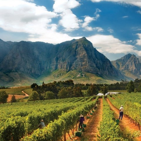 Sailing the new wine Silk Road: Why South East Asia is South Africa's next great frontier