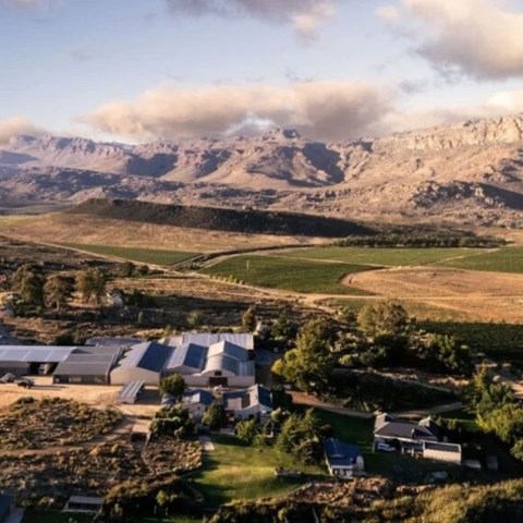 133-year-old family sheep farm in South Africa now one of the world's top wine brands