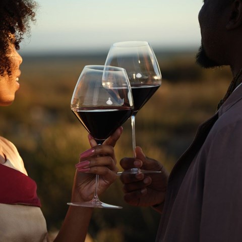 Heineken Beverages wine portfolio shines at 2026 Investec Trophy Wine Show