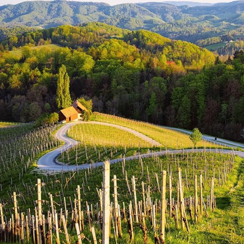 Europe's best wine region has been crowned for 2027 – and it's not where you'd expect