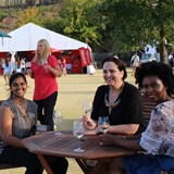 Stellenbosch Wine Festival 2017 in action