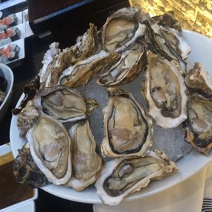 Oysters at Westin