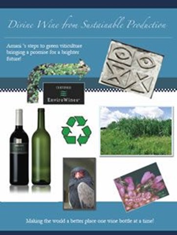 Divine Wine from Sustainable Production | wine.co.za