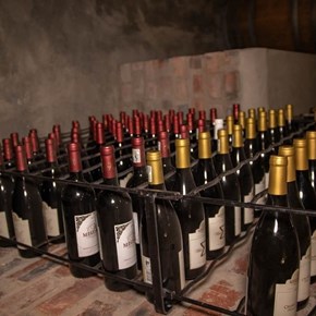 Cemetery of Forgotten Wines