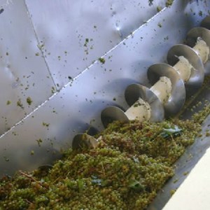 Klawer Wine Cellars Harvest 2012 