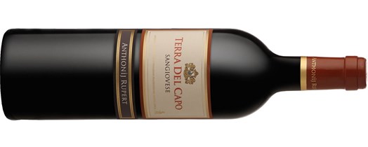 Terra Del Capo Sangiovese 2014 | wine.co.za