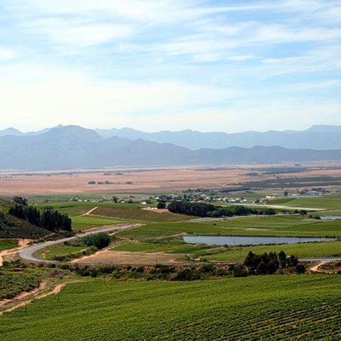 Riebeek Cellars (replaced by Riebeek Valley Wine Co) | wine.co.za