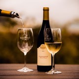 Celebrate Chardonnay Day at Mellasat Vineyards