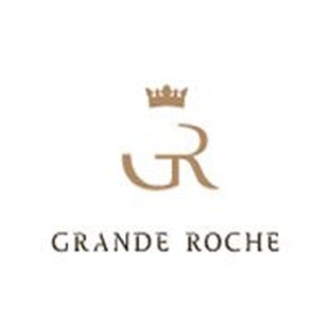 Grande Roche receives best award for excellence | wine.co.za