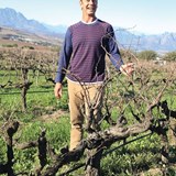 Organic winemaking: where nature sets the pace
