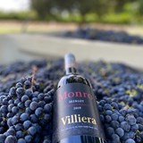 What's Bubbling at Villiera this Harvest