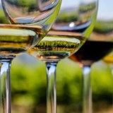 Sustainable practices and product quality: Is there value in eco-label certification? The case of wine