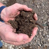 Earth to earth: The benefits of composting in regenerative agriculture