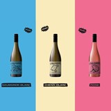 Reyneke Organic Wine range makes way for new Vinehugger brand: introducing a new, eclectic bunch of organic wines